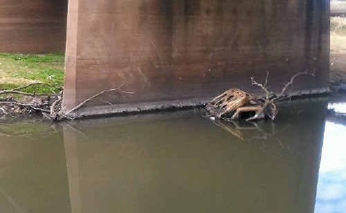 The top of a utility shows in the Condamine River yesterday. The top of a utility shows in the Condamine River yesterday.
